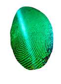 Weather Proof Keyless Biometric Fingerprint Door Lock R  