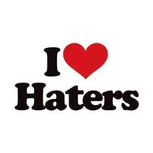  I Love Haters Pin 