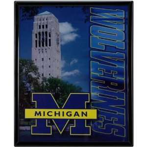  Michigan Wolverines 8 x 10 Campus Framed Photograph 