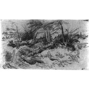  Drawing Landscape with fallen trees and rocks