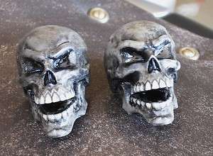   CUSTOM SKULL LICENSE PLATE BOLTS Absolutely the Best Deal  