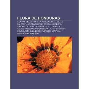  Flora de Honduras Guarianthe aurantiaca, Acrocomia 