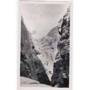    Reprint Looking out a window, Zion Canyon 1929 1929