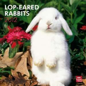  Lop Eared Rabbits 2012 Square 12X12 Wall Calendar 