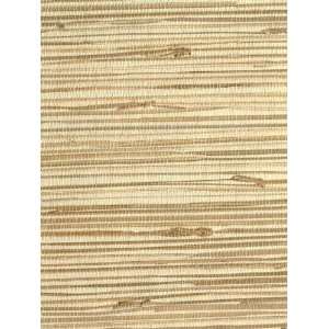  Wallpaper Steves Color Collection Grasscloth BC1580527 