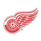   Decor Pack of 24 NHL Detroit Red Wings Flashing Hockey Team Logo Pins