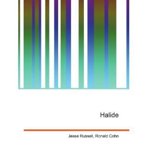  Halide Ronald Cohn Jesse Russell Books