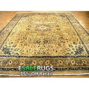  10 2 x 13 11 Farahan Hand Knotted Persian rug