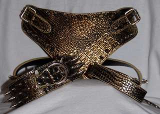 GOLD Spiked Leather Dog Collar, Harness and Leash Pitbull Doberman 