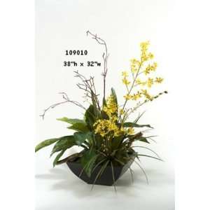  Oncidium Orchids with Birdnest Fern and Willow in Square 