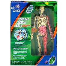 Edu Science Human Body Model with Squishy Parts   Toys R Us   ToysR 