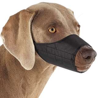 Guardian Gear Lined Nylon Dog Muzzle Grooming 0 5XL Black  