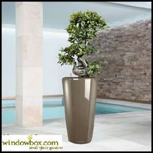  Rondo 40 Planter   16 x 30   Pearl Beige *Clearance*