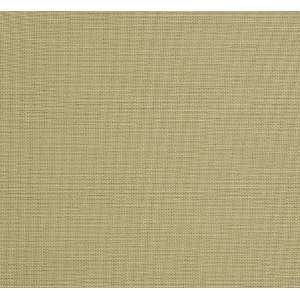  1743 Parkhurst in Flax by Pindler Fabric
