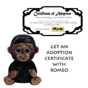  Ty Romeo Beanie Baby Boo with Adoption Certificate Toys & Games