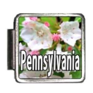 Pennsylvania State Flower Mountain Laurel Photo Italian Charm Bracelet 