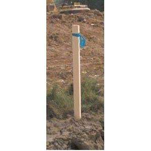 Survey Stakes 2in x 2in x 36in