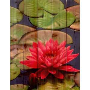  Lotus Blossom 28in x 36in Toys & Games
