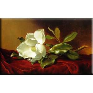  A Magnolia on Red Velvet 30x18 Streched Canvas Art by 