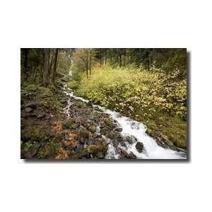   River Gorge National Scenic Area Oregon Giclee Print