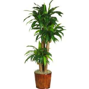   62 Inch Real Touch Dracena Silk Plant with Basket