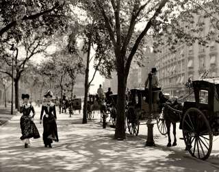 PHOTO 1899 BROOKLYN NEW YORK CITY CENTRAL PARK HORSE CARRIAGES 
