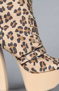 Sole Boutique The Anne XIV Shoe in Natural Leopard  Karmaloop 