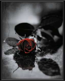 Poster mit Rahmen 40 x 50 cm, Schwarz   Red gothic rose gerahmt 