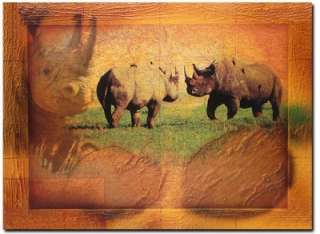 Afrika Nashorn Wandbild  