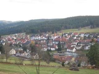 Ferienwohnung in Schonach/Schwarzwald zu verkaufen in Baden 