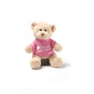  Im The Big Sister Message Bear Personalized Toys & Games