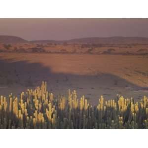  Landscape View, Serengeti National Park, Tanzania 