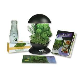  Aerogrow AeroGarden Chef In A Box