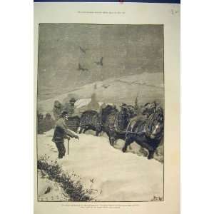    Snowstorm Northumberland 1886 Plough Alnwick Horses