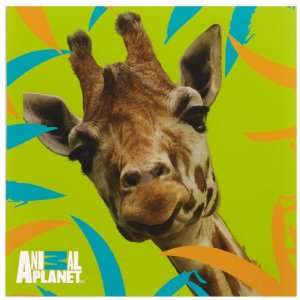  Animal Planet Friends Lunch Napkins (16) Party Supplies 