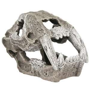 Saber Tooth Skull Aquarium Ornament   Small (Quantity of 4 