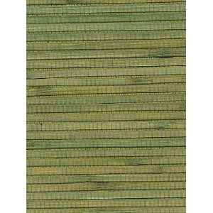  Wallpaper Astek Grasscloth & textures V AtX242