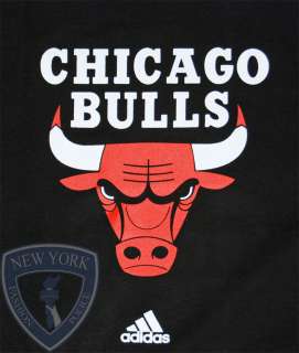 CHICAGO BULLS T SHIRT NBA BASKETBALL JERSEY TEE XL  