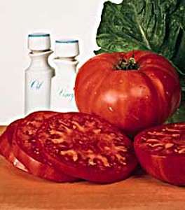 Supersteak Tomato 4 Plants   Super Size Beefsteak  