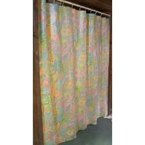  Cool Paisley Vinyl Shower Curtain
