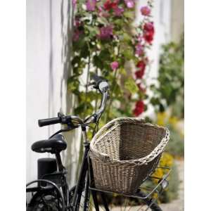  Bicycle with Basket and Hollyhocks, Ars En Re, Ile De Re 