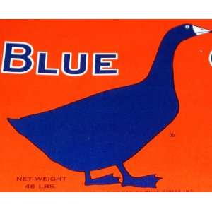  Feeling Blue? Blue Goose Crate Label, 1930s Everything 