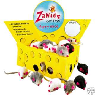 FREE PET TREAT RECIPES items in Charlies Cat Toys 