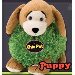  Chia Pet Cuddlies Puppy Sings To Toys & Games