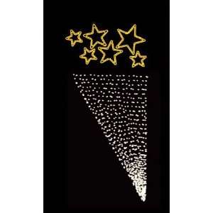  Wave of Stars   Christmas Light Display