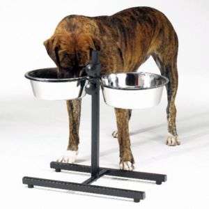 QUART Small dog dish Adjustable Raised Pet feeder Diner stainless 