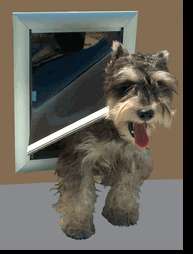 DogWalk Dual SECURITY pet dog door doggie sale DOORS  