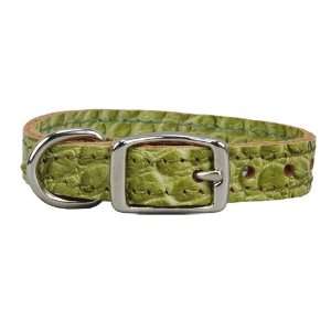  Croco   Faux Crocodile Leather Collar   1/2 inch Green 