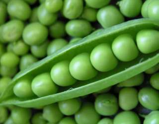 Peas Freeze Dried Survival Food Vegetables #10 CANS LDS  