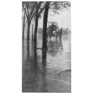   ,Horse drawn coach on wet street,1902,photo by Alfred Stieglitz,trees